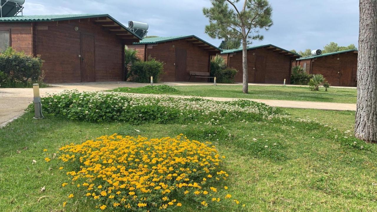 Alojamiento Rural Coto De La Isleta El Puerto de Santa María Εξωτερικό φωτογραφία