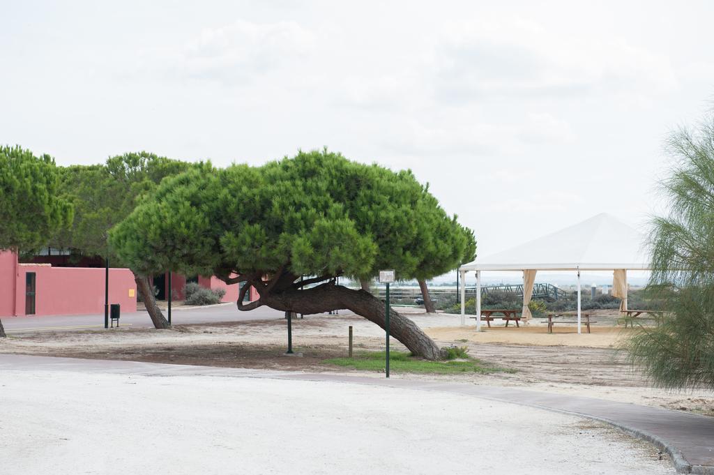 Alojamiento Rural Coto De La Isleta El Puerto de Santa María Εξωτερικό φωτογραφία