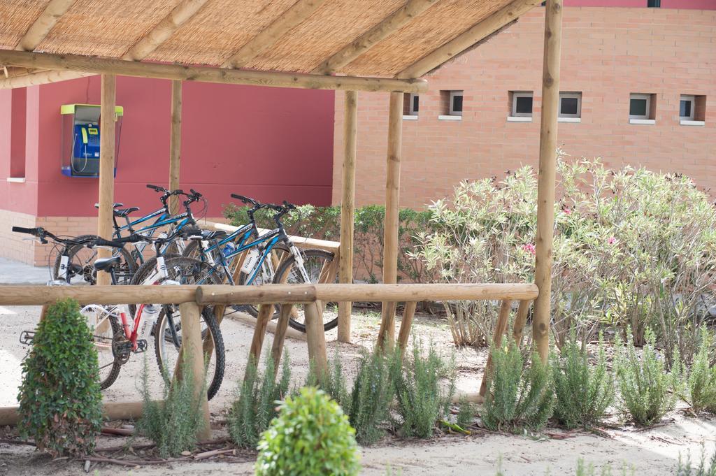 Alojamiento Rural Coto De La Isleta El Puerto de Santa María Εξωτερικό φωτογραφία