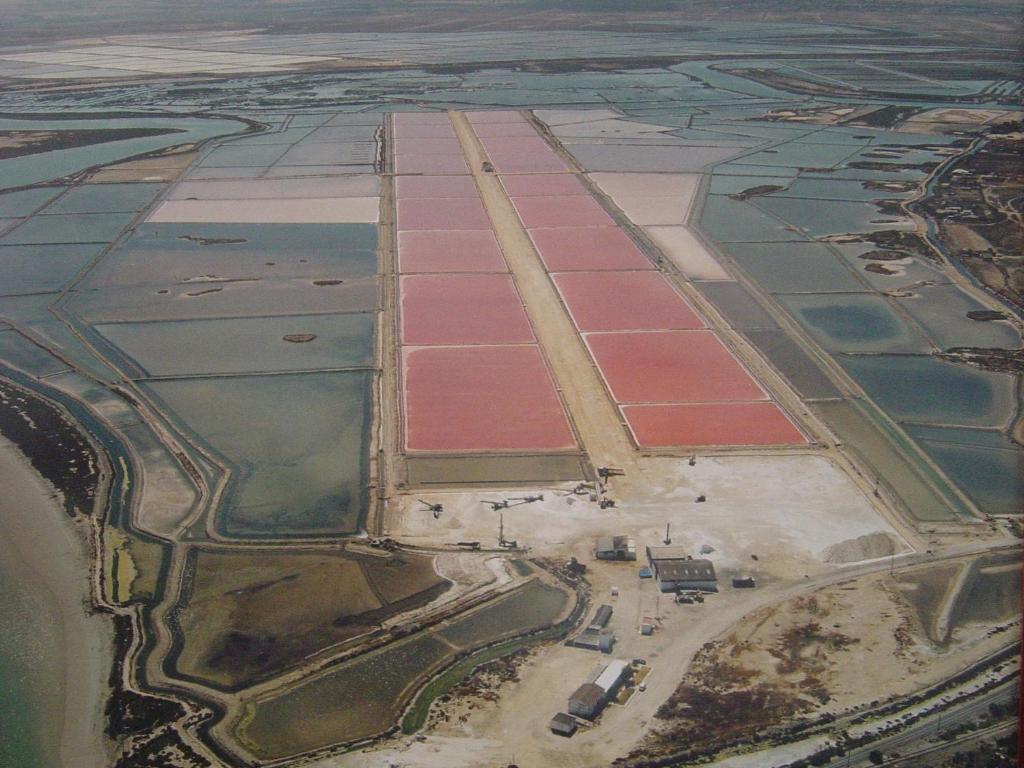 Alojamiento Rural Coto De La Isleta El Puerto de Santa María Εξωτερικό φωτογραφία