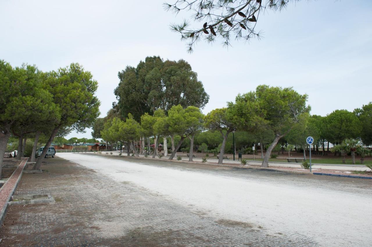 Alojamiento Rural Coto De La Isleta El Puerto de Santa María Εξωτερικό φωτογραφία