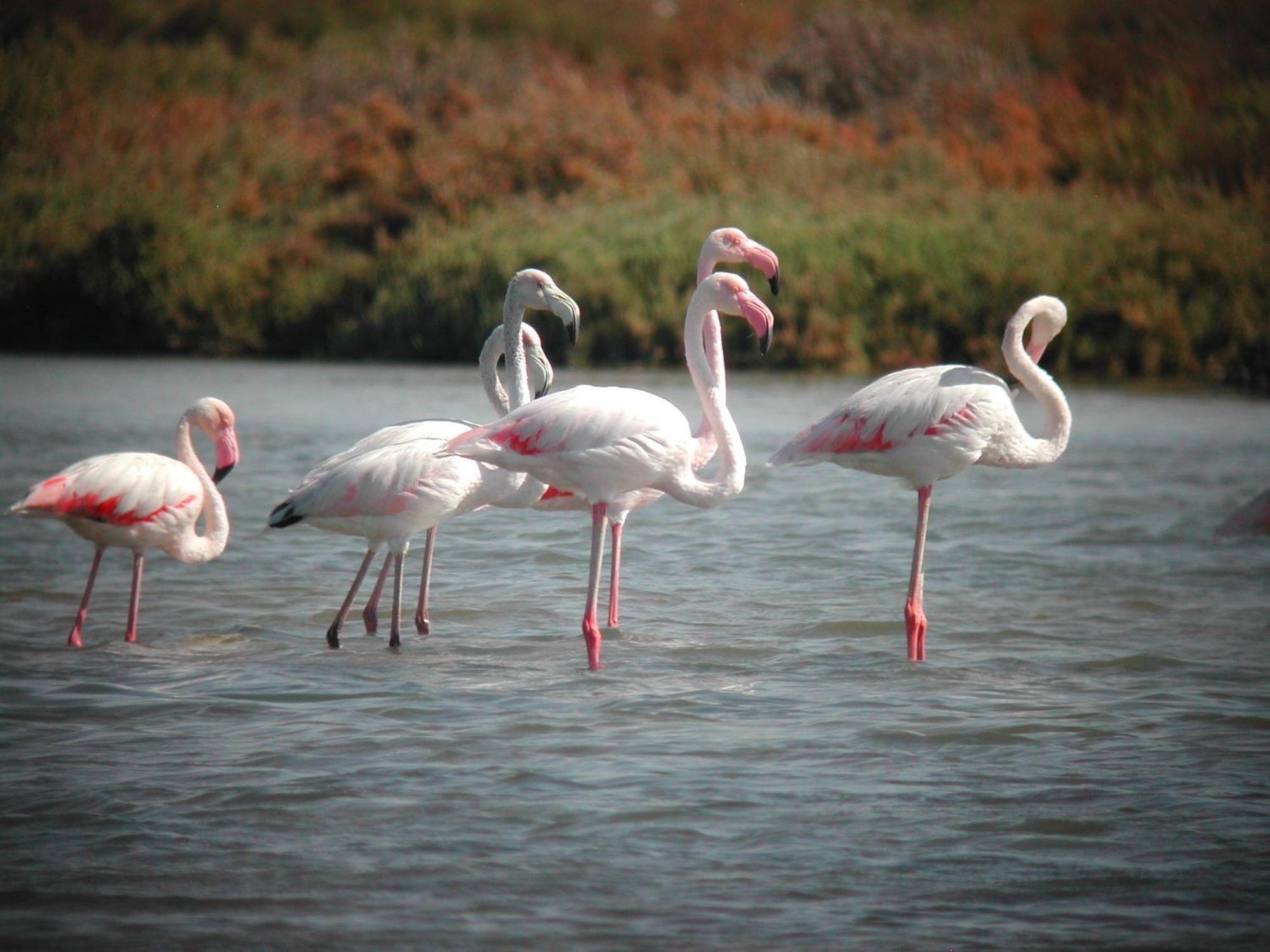 Alojamiento Rural Coto De La Isleta El Puerto de Santa María Εξωτερικό φωτογραφία